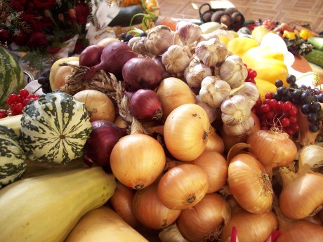 appreciate the feast of life