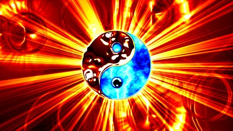 the 51 percent solution