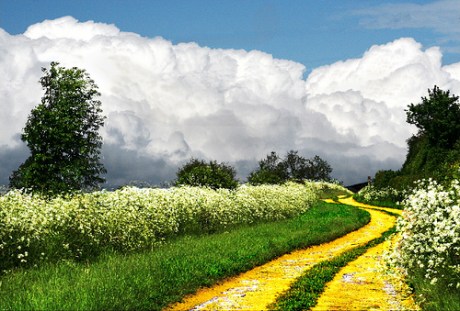 traveling the road of life