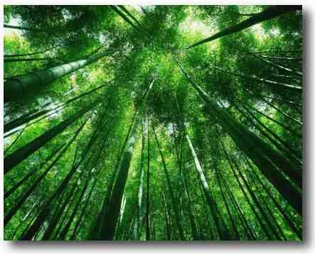 restore sacredness to your life