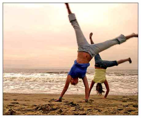 the human body -- an owner's manual