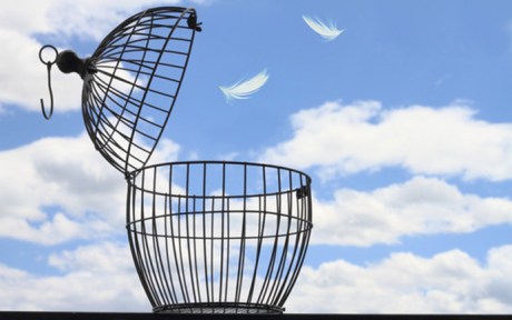 what keeps you in your cage?