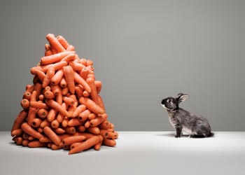 biting off more than you can chew